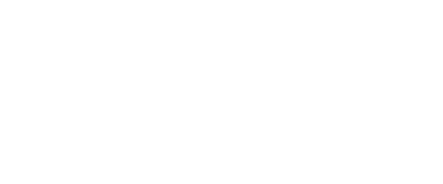Armature Works